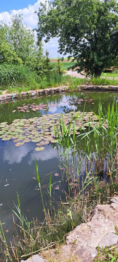 Domek U Rybnika Schloss Bosig Bagian luar foto